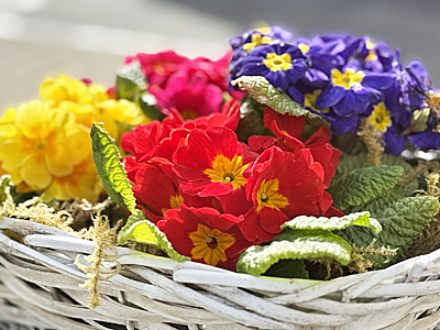 Ostern im Restaurant Laufeneck Basel